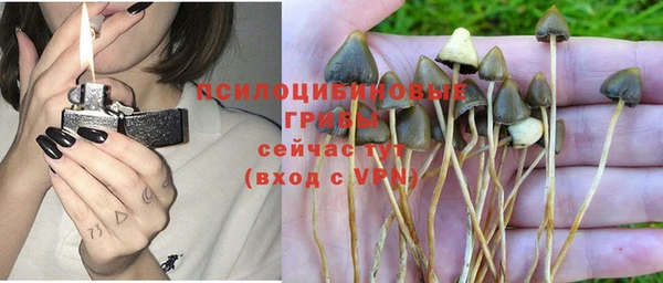 apvp Баксан