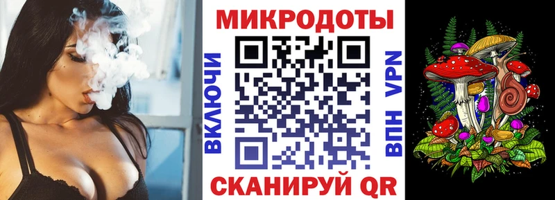 где найти наркотики  Сельцо  Галлюциногенные грибы Psilocybe 