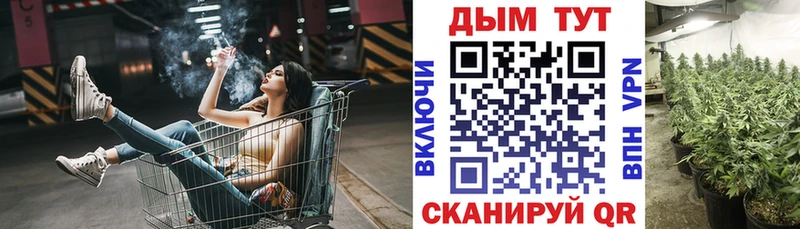 где продают Сельцо Шишки марихуана Ganja